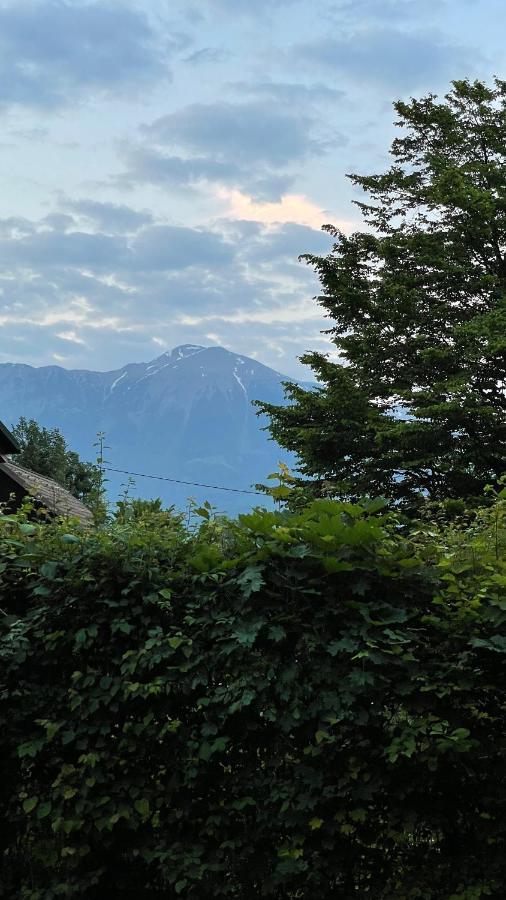 Willa Mika'S Garden Bled Zewnętrze zdjęcie